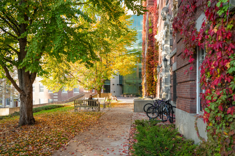 Fall foliage on campus.